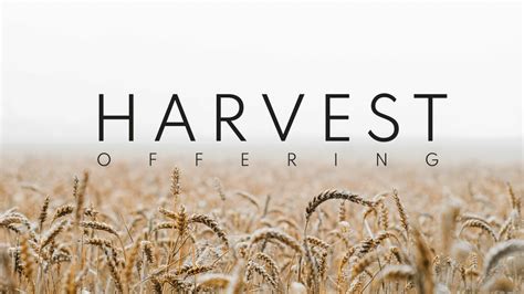 harvest offering